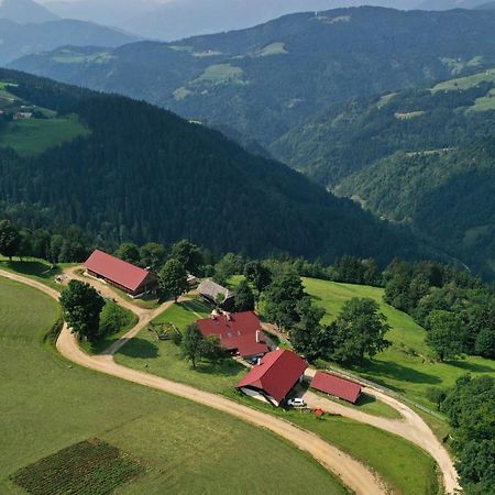 Farmstay&Glamping Visocnik Ljubno Екстер'єр фото