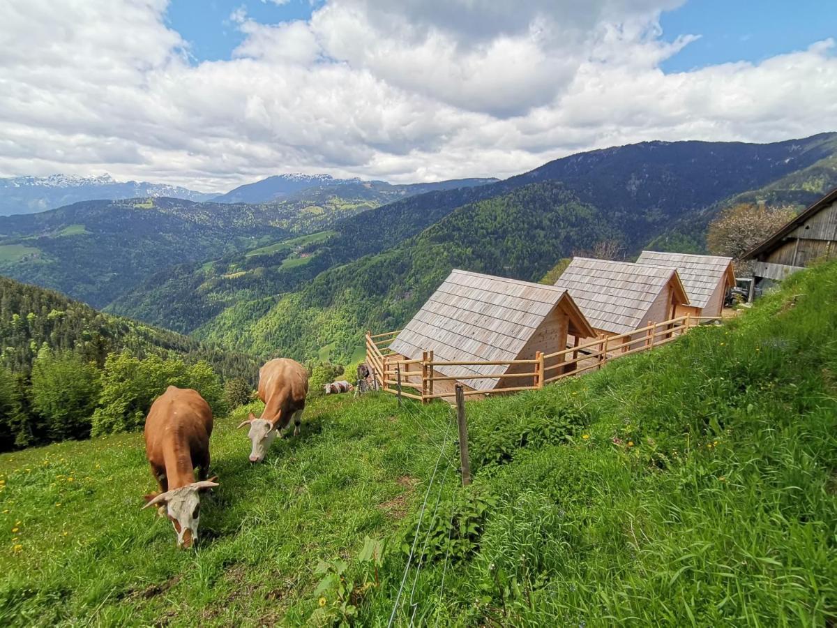 Farmstay&Glamping Visocnik Ljubno Екстер'єр фото