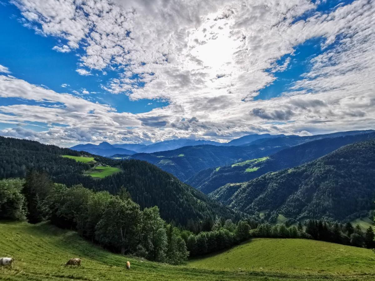 Farmstay&Glamping Visocnik Ljubno Екстер'єр фото