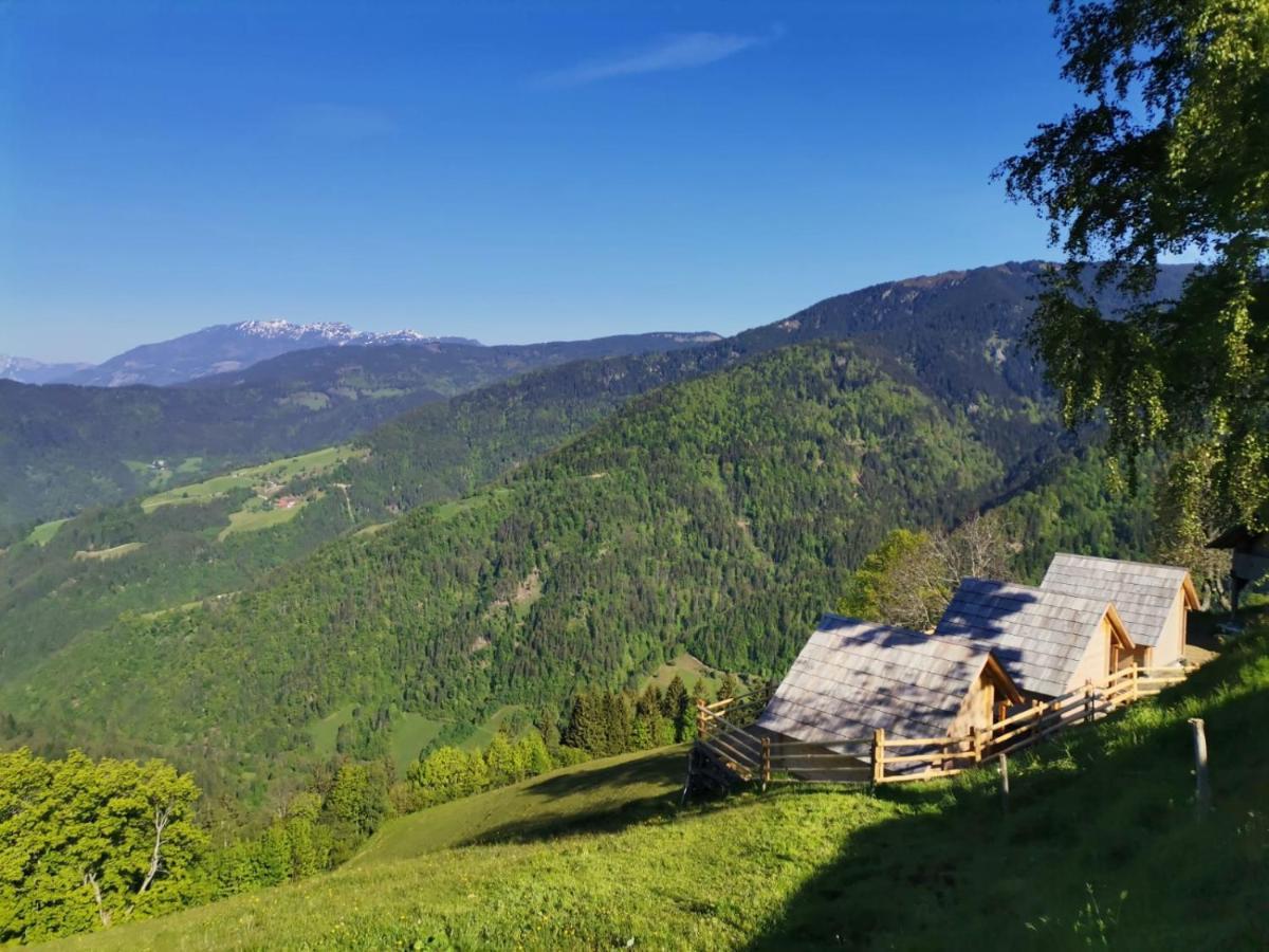 Farmstay&Glamping Visocnik Ljubno Екстер'єр фото