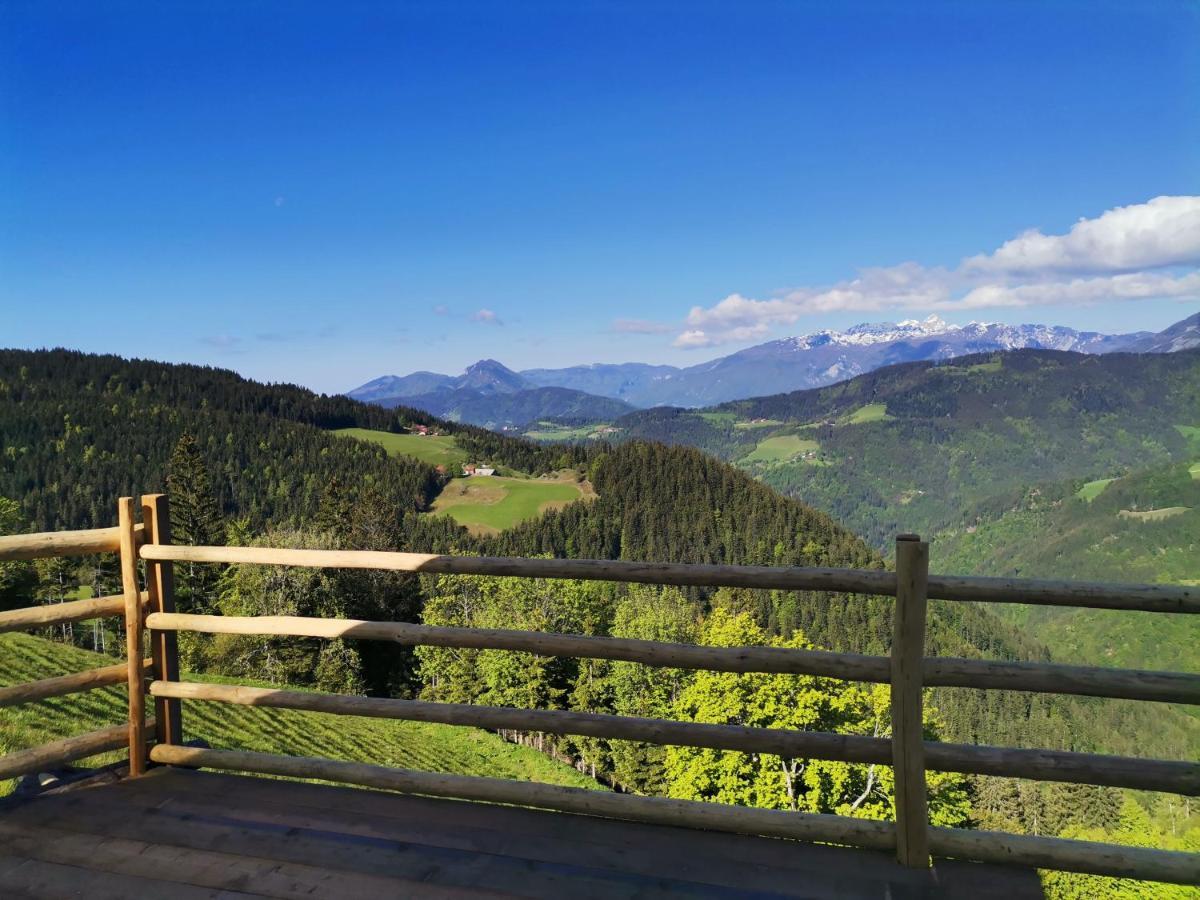 Farmstay&Glamping Visocnik Ljubno Екстер'єр фото