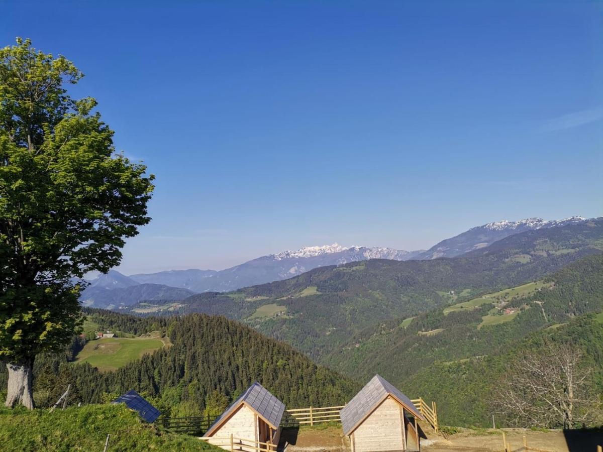 Farmstay&Glamping Visocnik Ljubno Екстер'єр фото