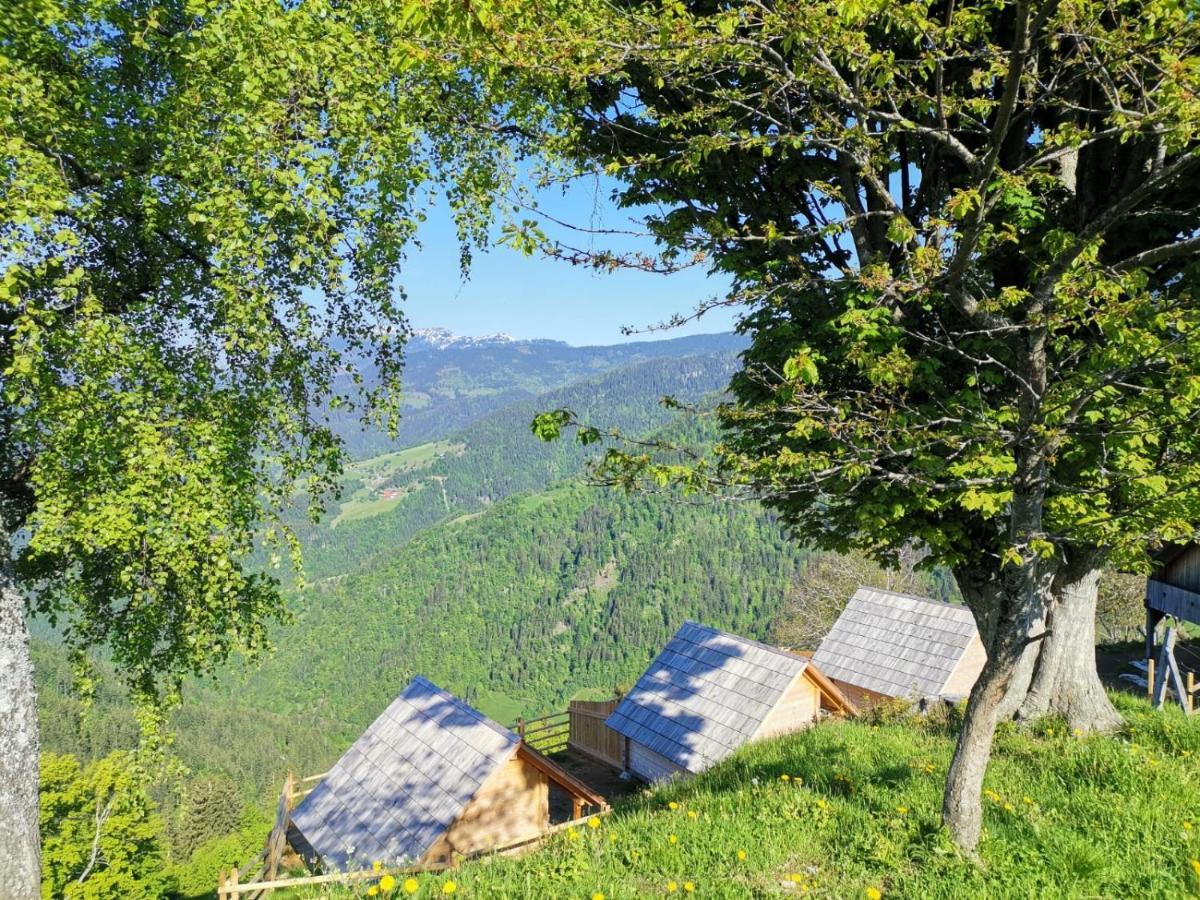 Farmstay&Glamping Visocnik Ljubno Екстер'єр фото