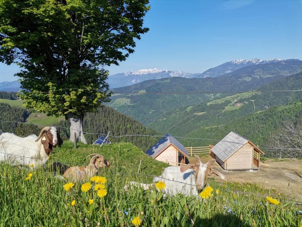 Farmstay&Glamping Visocnik Ljubno Екстер'єр фото