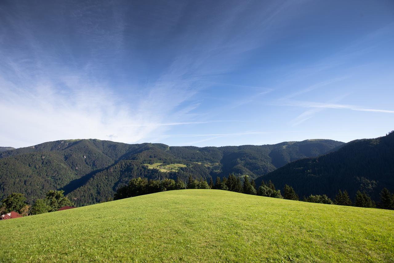Farmstay&Glamping Visocnik Ljubno Екстер'єр фото