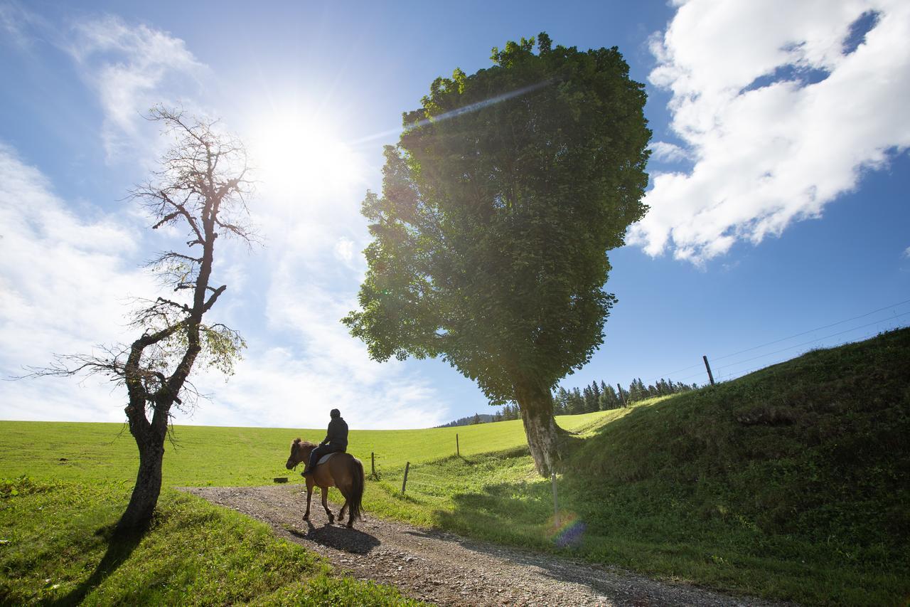 Farmstay&Glamping Visocnik Ljubno Екстер'єр фото