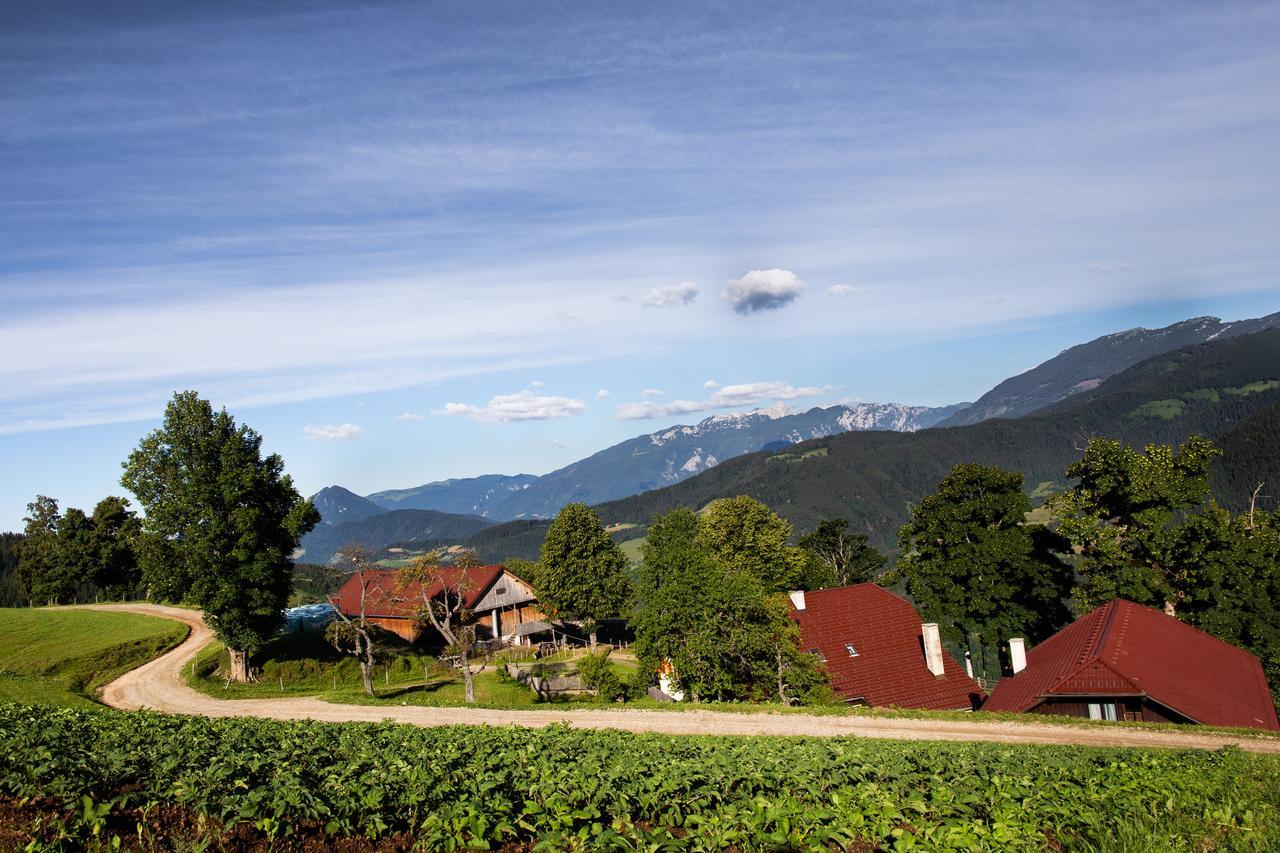 Farmstay&Glamping Visocnik Ljubno Екстер'єр фото