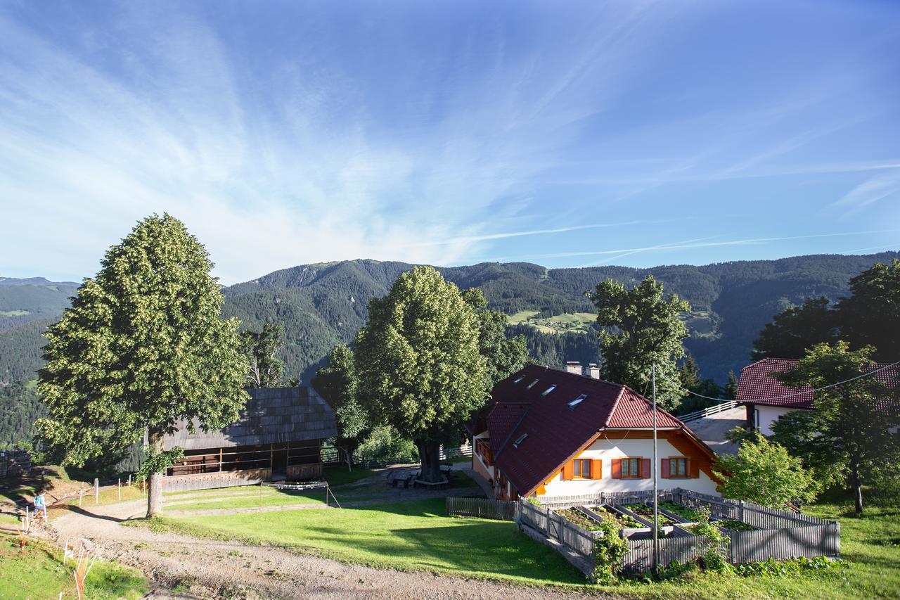 Farmstay&Glamping Visocnik Ljubno Екстер'єр фото