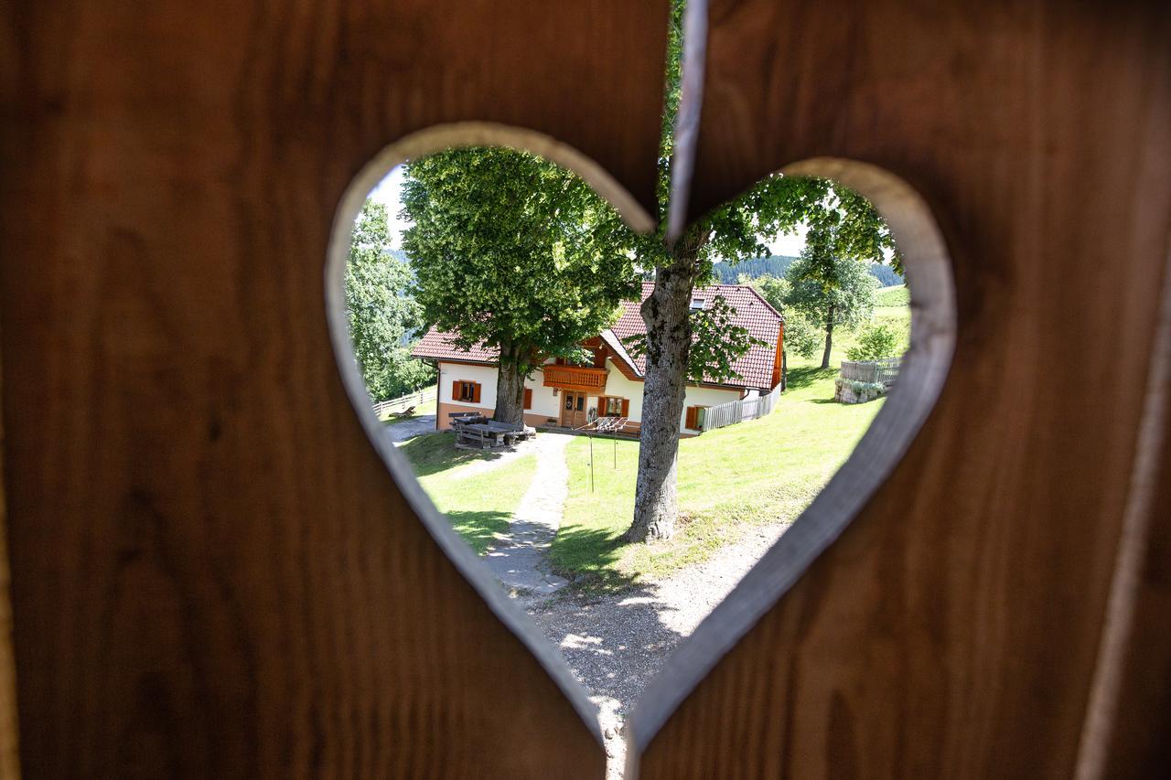 Farmstay&Glamping Visocnik Ljubno Екстер'єр фото