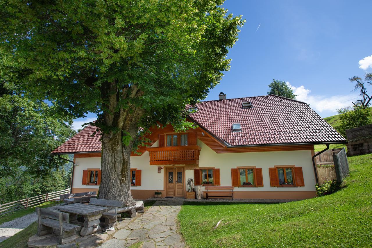 Farmstay&Glamping Visocnik Ljubno Екстер'єр фото
