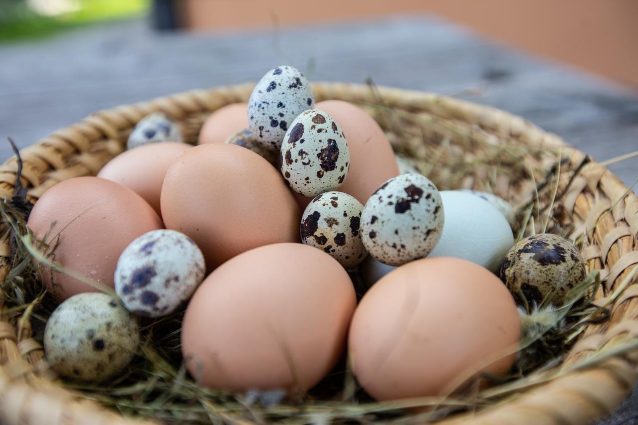 Farmstay&Glamping Visocnik Ljubno Екстер'єр фото