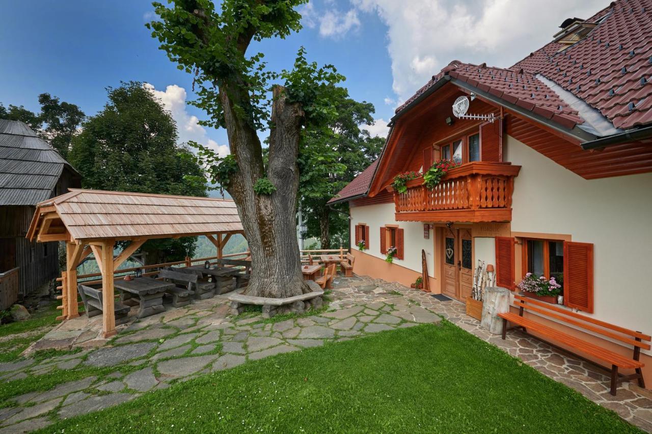 Farmstay&Glamping Visocnik Ljubno Екстер'єр фото