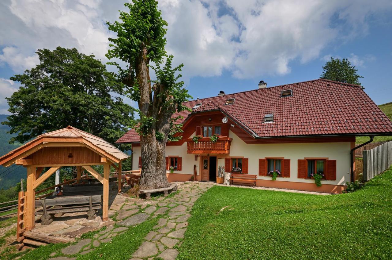 Farmstay&Glamping Visocnik Ljubno Екстер'єр фото