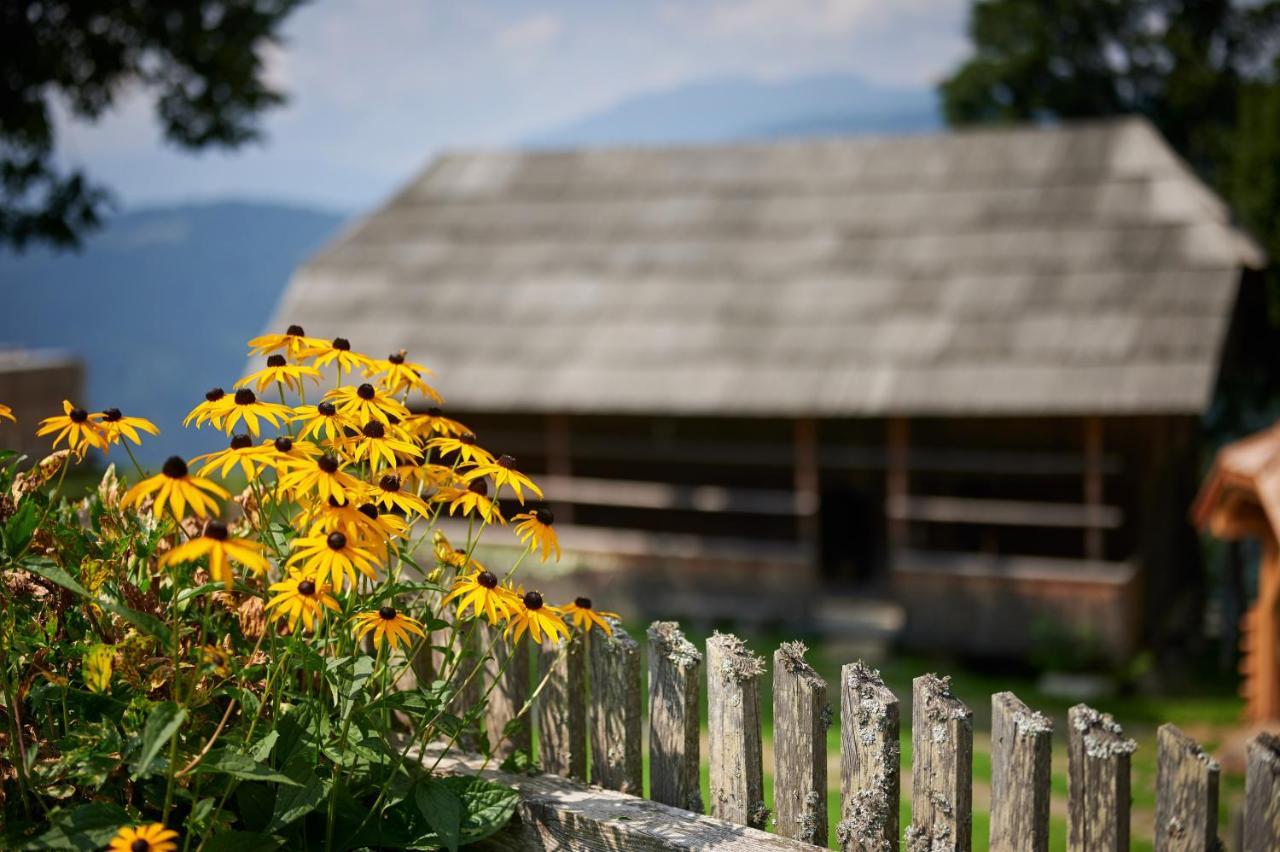 Farmstay&Glamping Visocnik Ljubno Екстер'єр фото