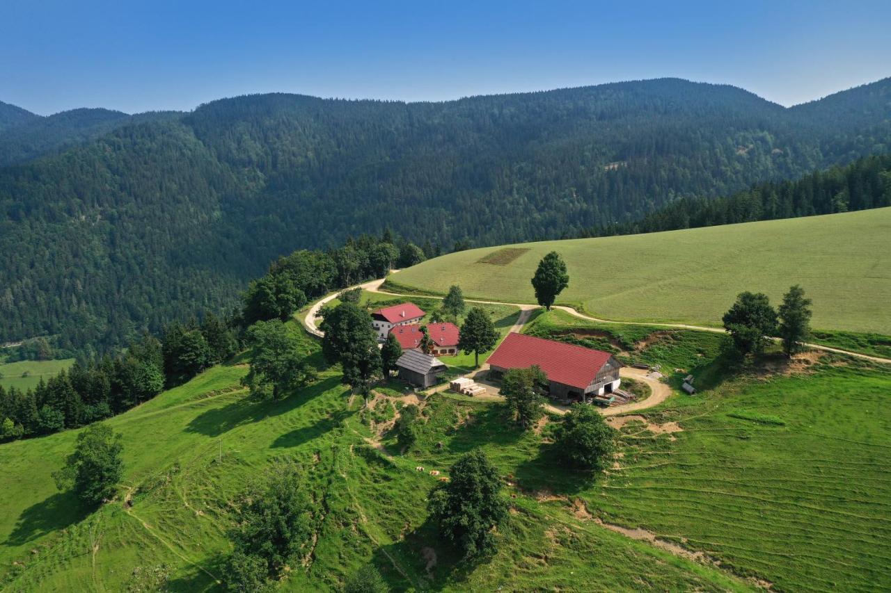 Farmstay&Glamping Visocnik Ljubno Екстер'єр фото
