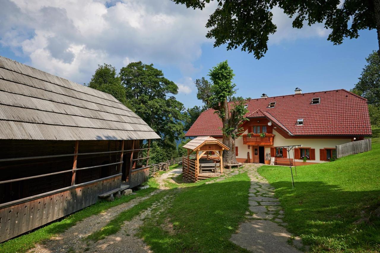 Farmstay&Glamping Visocnik Ljubno Екстер'єр фото