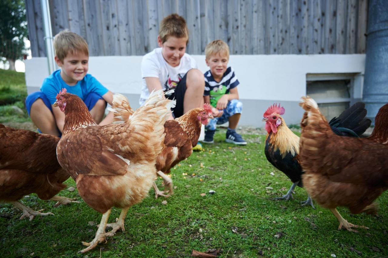 Farmstay&Glamping Visocnik Ljubno Екстер'єр фото