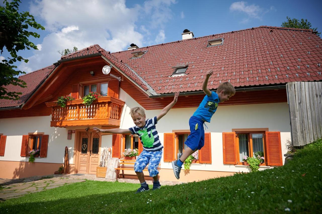 Farmstay&Glamping Visocnik Ljubno Екстер'єр фото