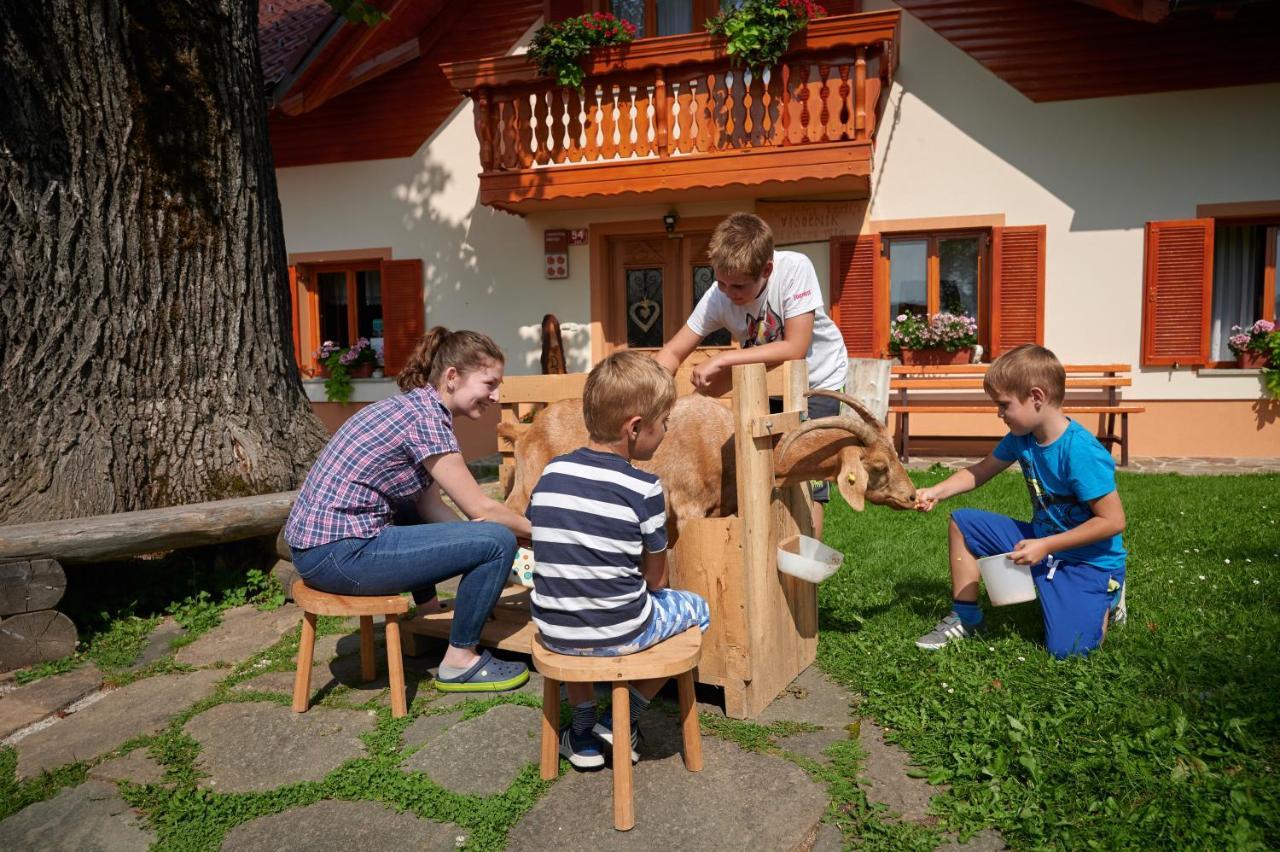 Farmstay&Glamping Visocnik Ljubno Екстер'єр фото