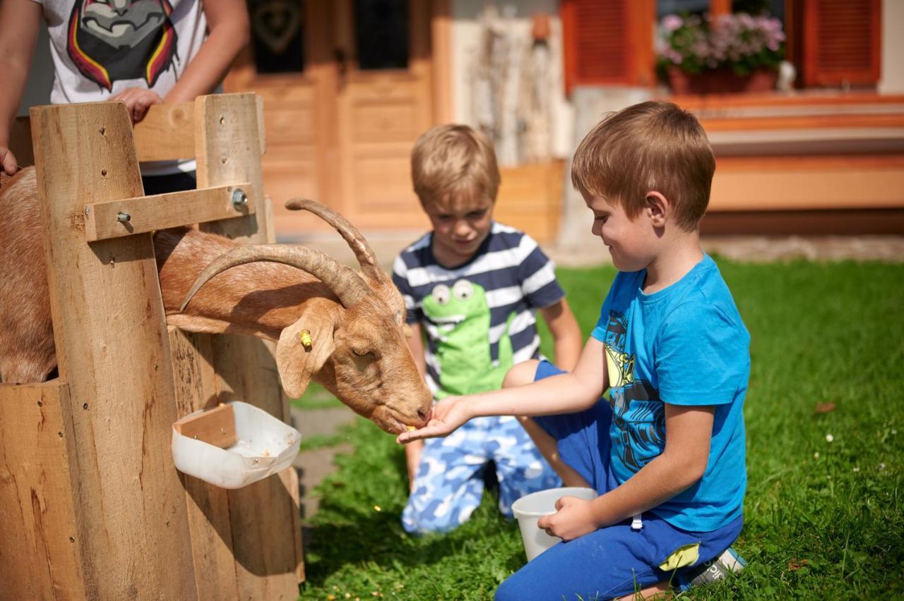 Farmstay&Glamping Visocnik Ljubno Екстер'єр фото